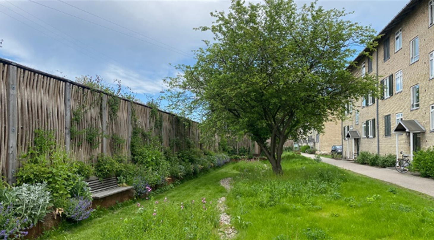 Vand af stjskrm forside